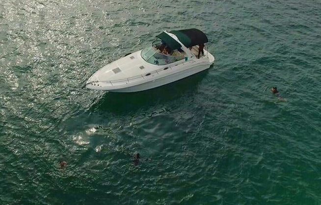   Searay34  